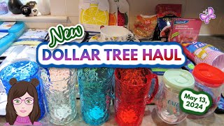 New DOLLAR TREE Haul Summer Finds May 13 2024 [upl. by Thomasin]