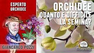 Seminare le orchidee è una cosa fattibile da tutti [upl. by Zzahc]