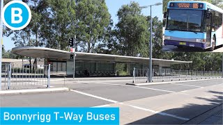 Bonnyrigg TWay Buses [upl. by Lime412]