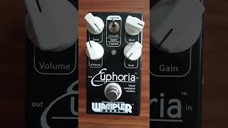 Wampler Euphoria Drive Pedal guitar overdrivepedal pedals music [upl. by Anola]