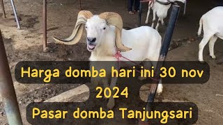 harga domba Garut hari ini di pasar domba tanjungsari sumedang 301124dombagarutsuper dombagarut [upl. by Dnalyk]