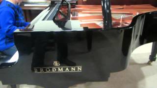 Brodmann Grand Piano [upl. by Yhtomiht896]