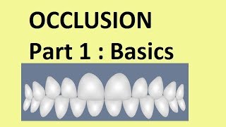 Occlusion  Part 1Basic concepts [upl. by Niamrej96]