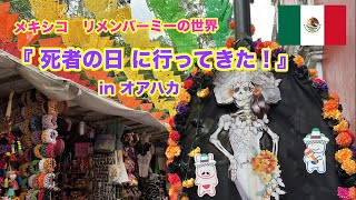 死者の日にリメンバーミーの舞台、メキシコのオアハカに行ってきた！ 【 アメリカ ゆるり海外vlog 6】 [upl. by Redep231]