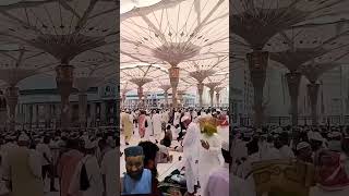 Falk k nzaru huzoor a gy hy youtubeshorts youtube islamicstatus islamicvideo shorts viralvideo [upl. by Jessee164]