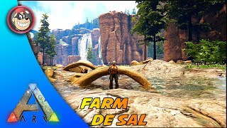 🔵 ARK SURVIVAL EVOLVED  RAGNAROK ONDE ENCONTRAR SAL PARA CONSERVAPTBR [upl. by Nert891]