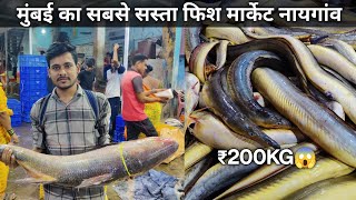 Naigaon Wholesale Fish Market  Naigaon Fish Market  Mumbai Naigaon Fish Market [upl. by Amehsyt]