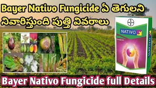 NATIVO FUNGICIDE FULL DETAILS IN TELUGU  Bayer Nativo Dose price in telugu bayer nativo in telugu [upl. by Aerdnas]