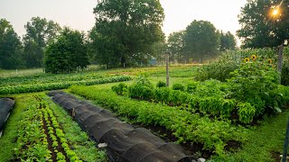 Regenerative Agriculture on a Small Scale  What it Looks Like [upl. by Adnoma571]