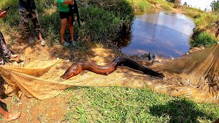 Primera pesca en Colombia pescamos anguilas gigantes eléctricas y muchos peces [upl. by Anigar]