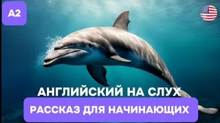 Короткие рассказы на Английском для начинающих 🎧Английский НА СЛУХ [upl. by Aynatan]