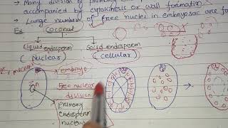 Development and types of endosperm [upl. by Pilihp]