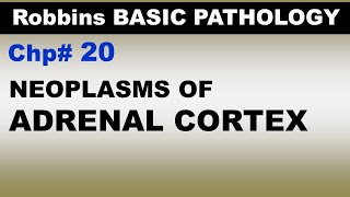 Ch20  Tumours of Adrenal Cortex  Endocrine Pathology  Dr Asif Lectures [upl. by Jennine873]