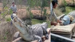 Aussie crocodile wrangler captures monstrous five metre predator Video Any Articles News [upl. by Merrick]