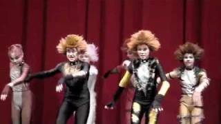 9Lives  Jellicle Cats [upl. by Ennaehr]