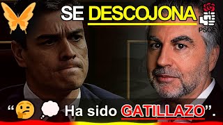 🤔💭 Carlos Alsina se DESCOJONA del GATILLAZO 🍌 de Pedro Sánchez [upl. by Maroj235]