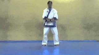 3º KICHO SAM BO TAEKWONDO MOO DUK KWAN CDAMCHR [upl. by Odericus]