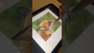 Drawing a red fox in minimal line art 1842024 singlelinedrawing linedrawing fox [upl. by Lehcyar]