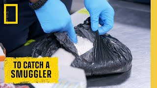 🔴 LIVE Cocaine Contraband and Cartel Money To Catch a Smuggler  S3 FULL EPISODES  NatGeo [upl. by Arraeic]