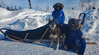 Winter Camping in Alaska with a Sled Dog Team [upl. by Harty208]