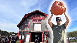 Mexicano Recolectando Manzanas y Calabazas GIGANTES en Canadá 🍏🎃 [upl. by Odlauso]