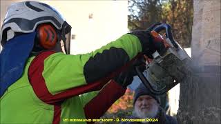 Bad Salzuflen  3 November 2024  Weihnachtsbaum für den Herforder quotWeihnachtsmarkt  Video [upl. by Kore]