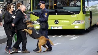 Police against anarchists in Oslo Norway [upl. by Hartzell]