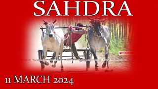 🔴LIVE SADHRA OX RACE 11 MARCH 2024 [upl. by Aicire]