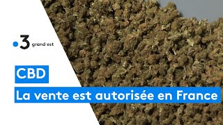 La vente de CBD finalement autorisée en France [upl. by Eirrod667]