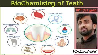 Biochemistry of Teeth [upl. by Saunders]