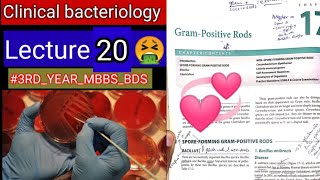 Special Bacteriology lectures7 Gram positive RODS Bacillus clostridum cornybacterium listeria [upl. by Aenad]