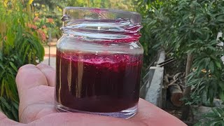 Home made beetroot lip balm aloeveragel coconutoil vitamine vaseline beetrootjuice lipbalm [upl. by Alpheus]