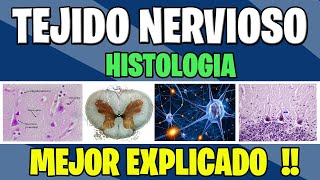 TEJIDO NERVIOSO COMPLETO  Histologia [upl. by Nahshunn406]