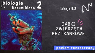 Biologia klasa 2 Lekcja 52  Gąbki  zwierzęta beztkankowe [upl. by Burd]