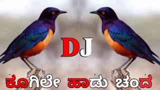 KAGLI ADUU CHADA DJ SONG [upl. by Irolav733]