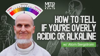 How to Tell If Youre Overly Acidic or Alkaline w Atom Bergstrom  Mitolife Radio Ep 155 [upl. by Burg800]