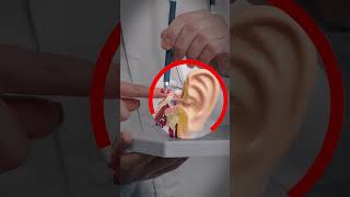 Ear Infection Home Remedies to Get Rid of Ear Pain Fast [upl. by Etana]