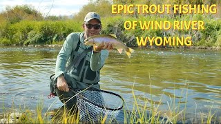 Epic Small Stream Trout Fishing  Wind River Country Wyoming [upl. by Pritchett7]