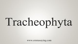 How To Say Tracheophyta [upl. by Killarney734]