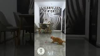 It is safe toy for a cats What do u think 😼 funnycats cats [upl. by Arodnap291]