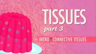 Tissues Part 3  Connective Tissues Crash Course Anatomy amp Physiology 4 [upl. by Telford]