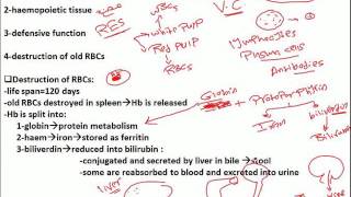 10 haematolegical indices to haemolytic anemia [upl. by Alvar679]