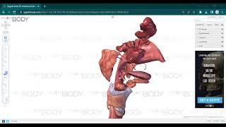 L9 ANATOMY Pharynx [upl. by Had]