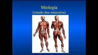 Aula Sobre Miologia [upl. by Aimit]