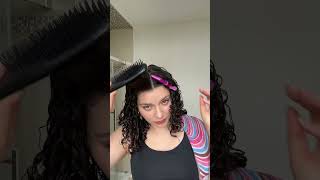 DENMAN BRUSH VS TANGLE TEEZER does your hair brush matter [upl. by Candace]