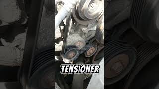 Serpentine Belt Noise Quick Fix in 29 Secs [upl. by Edyth]