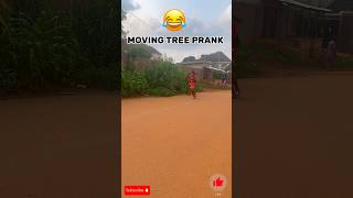 😂MovingTree She Almost FaintedPRANK shorts funnyvideo prank [upl. by Nairdna400]