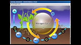 CBSE Class 9 Science Natural Resources 2 Biogeochemical Cycles [upl. by Tyre]