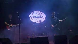 Peligrosos Gorriones full set 14122023 en The Roxy [upl. by Adikam]