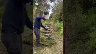 Watching the video will make you feel refreshed yardcleaning extremelycomfortable weed remover [upl. by Neddy]